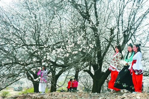 看足球比赛 精彩瞬间